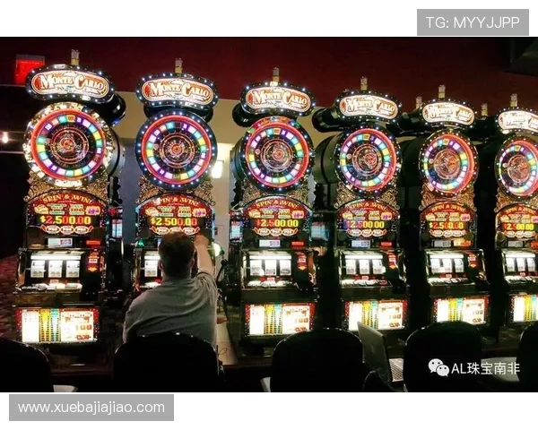 南非赌场：揭秘南非合法博彩行业的监管政策与玩家权益保障措施