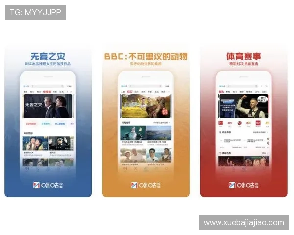 PA视讯厅用户体验分享与常见问题解决方案详解